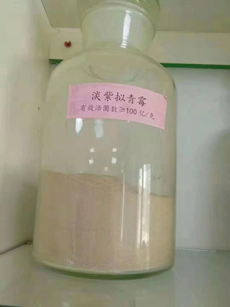  生物(wù)有(yǒu)机肥