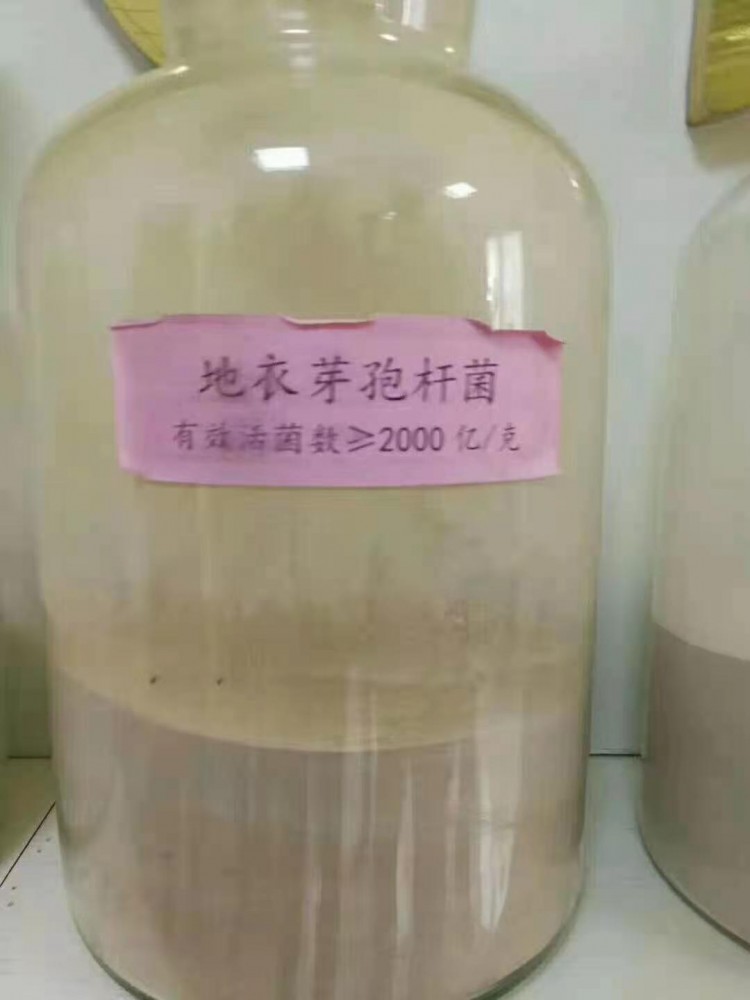  生物(wù)有(yǒu)机肥