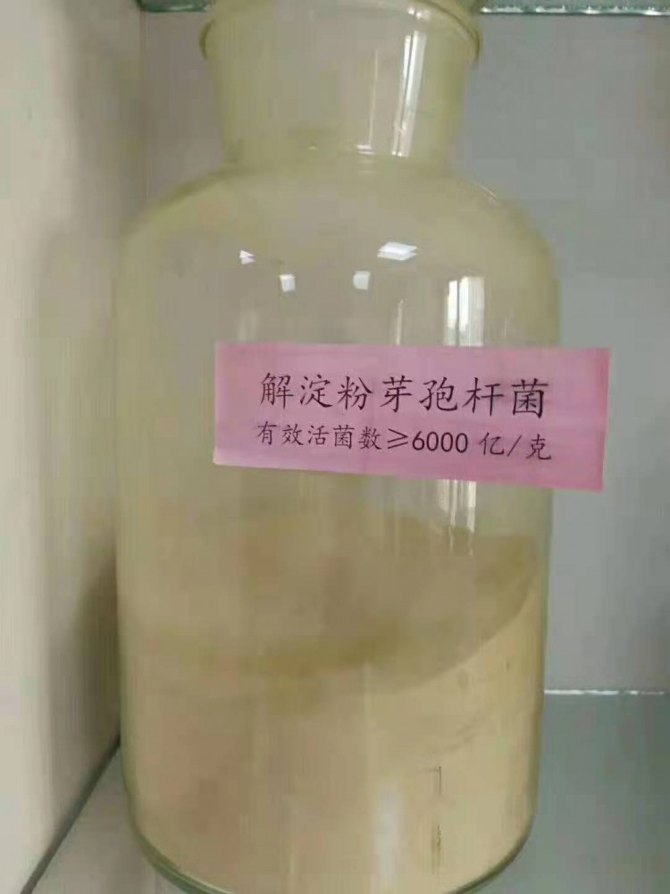  生物(wù)有(yǒu)机肥