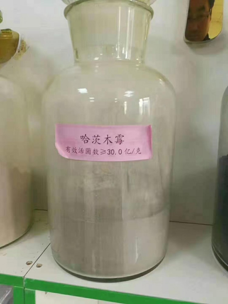  生物(wù)有(yǒu)机肥