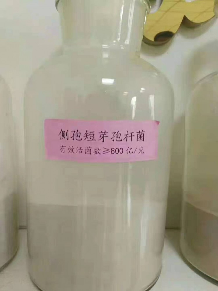  生物(wù)有(yǒu)机肥