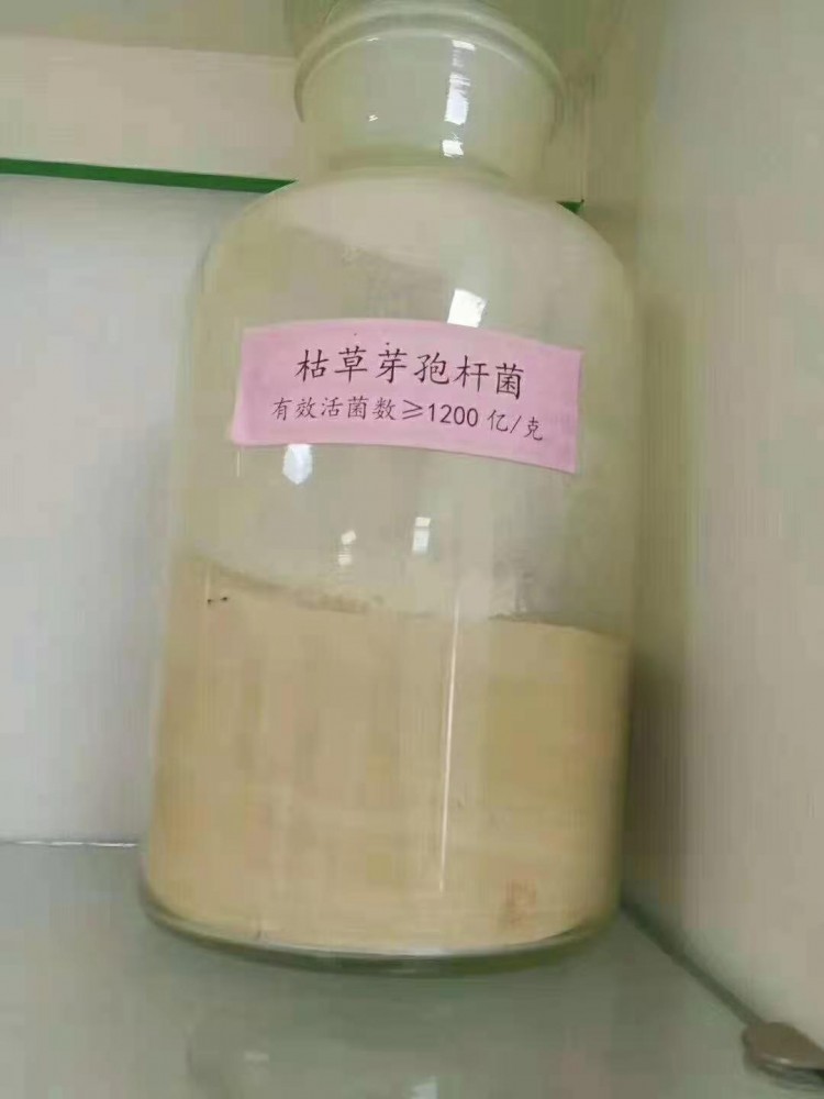  生物(wù)有(yǒu)机肥